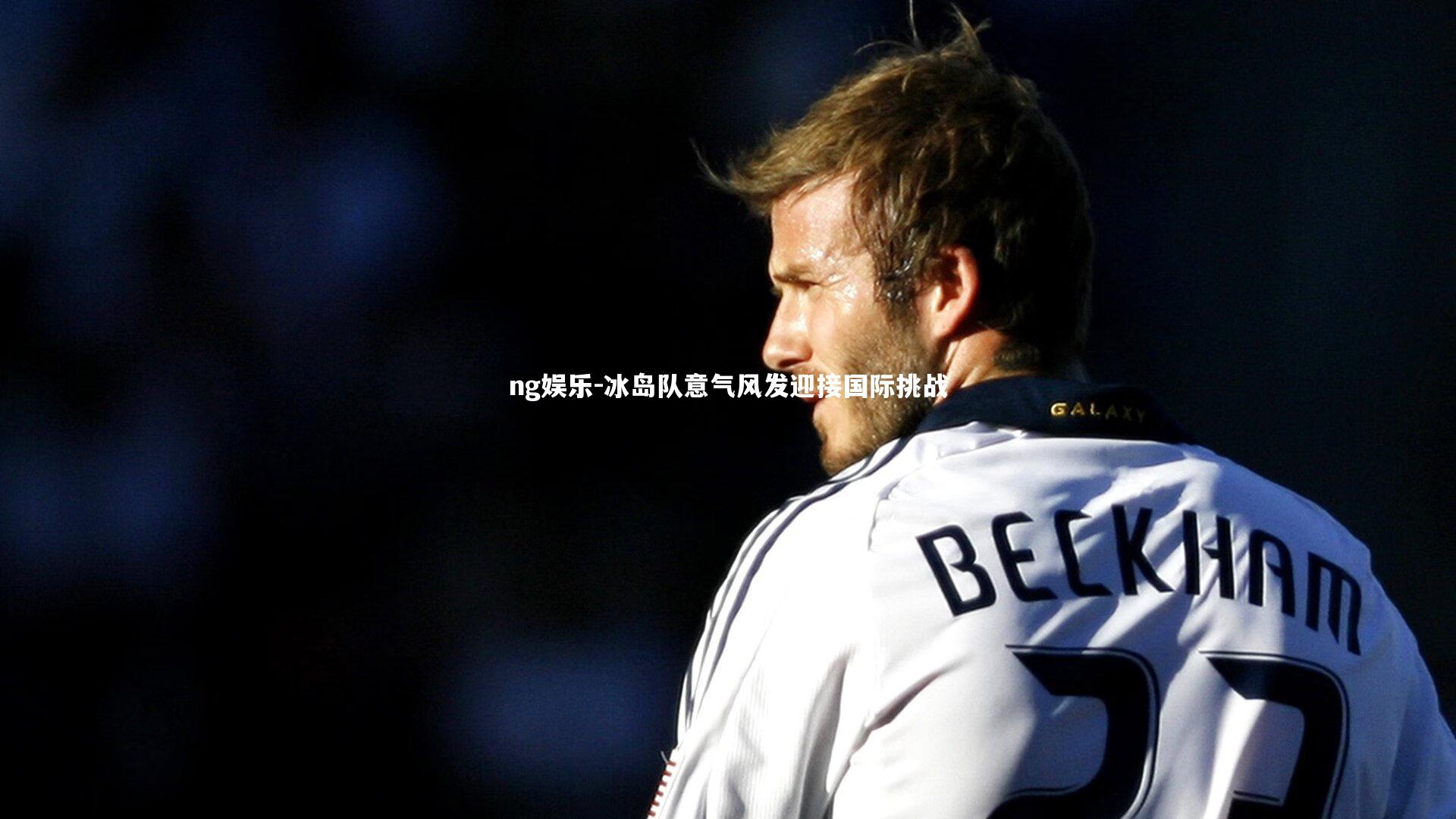 冰岛队意气风发迎接国际挑战